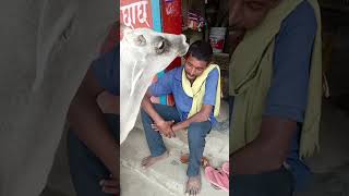 Madhuri Chauhan subscribe like kijiye doston Gau Mata ke liye ek subscribe to jarur kar lijiye [upl. by Ettenuahs215]