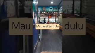 Ke Balikpapan  makan di Rastauran Nandito [upl. by Celik]