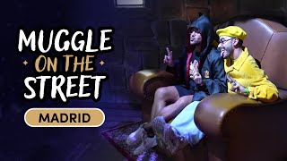 Experience The Magic of Harry Potter in Madrid  Muggle On The Street [upl. by Odraode943]