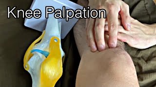 How to palpate knee English [upl. by Ardnoid]