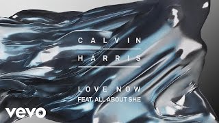 Calvin Harris  Love Now Audio ft All About She [upl. by Annasor]