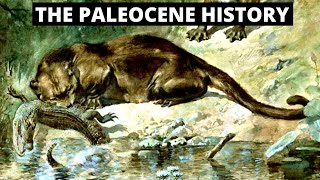 The Evolution Of The Paleocene Era [upl. by Zined]