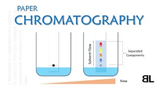 What is Chromatography  Paper Chromatography  GCSE Chemistry Lecture [upl. by Naval716]