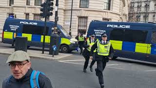 TSG POLICE STORM HORSE GUARDS SECURITY ALERT thekingsguard [upl. by Hameean]