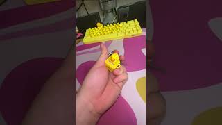 The rubber duck keychain fidget toy that quacks when you press [upl. by Idner]