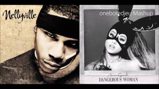 Arianas Dilemma  Nelly vs Ariana Grande Mashup [upl. by Neemsaj]