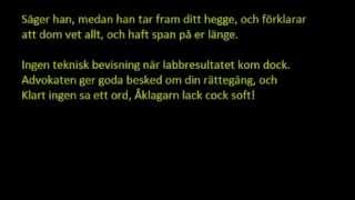 DaniM Det var inte jag Lyrics [upl. by Krock414]