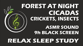 Sound of forest at night crickets cicadas insects  9 hours ASMRNatureSound [upl. by Bartko289]