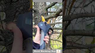 Best Electric Pruning Shears [upl. by Aiker]