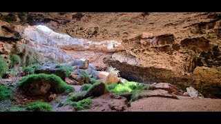 Nullarbor Cave Exploring [upl. by Bird]