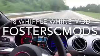 Loud Whine 18 Whipple Mustang GT Whine Mod installed [upl. by Sarid]