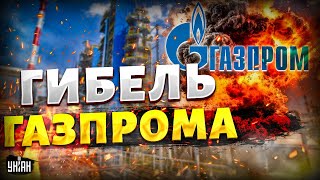 Китай облапошил Россию Гибель Газпрома Путин покрупному облажался обратный отсчет запущен [upl. by Filahk]