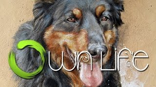 Speedpainting Bernese Mountain Dog Bonja [upl. by Karney]