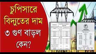 WBSEDCL চুপিসারে বিদ্যুতের দাম ৩ গুণ বাড়ল কেন  Bangla News [upl. by Annayk722]