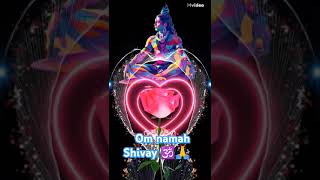 Om namah Shivay 🕉️🕉️🙏 song love [upl. by Lanta]