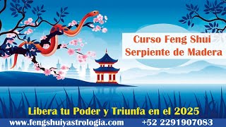 CURSO FENG SHUI SERPIENTE DE MADERA 2025 [upl. by Katonah]