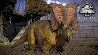 BUILDING A AMARGASAURUS CHASMOSAURUS amp GIGANTSPINOSAURUS EXHIBIT  JWE2 Exhibit Build [upl. by Okimuy]