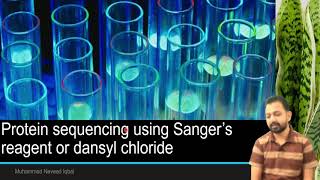 Sangers Method of Protein Sequencing [upl. by Ridley]