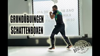 6 Grundübungen Schattenboxen Kickboxen I🔥 [upl. by Dacia]