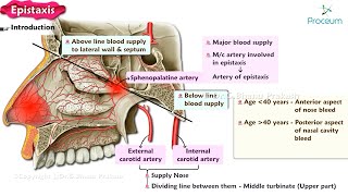 Epistaxis 👃🩸  ENT Lectures [upl. by Tnerb236]