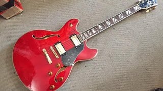 Washburn HB 35 Hollowbody Electric guitar review by Alex Old School [upl. by Edwards709]