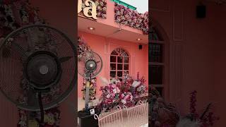 Fiaba cafe noida  pink themed cafe  noida shorts ytshorts [upl. by Akienahs]