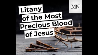 Litany of the Most Precious Blood of Jesus  Michał Niemiec [upl. by Hammerskjold]