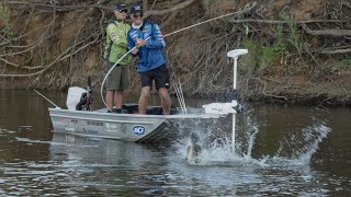 REEL ACTION Series 12 Episode 15 Macquarie River Murray Cod and Golden Perch [upl. by Ennayelhsa457]