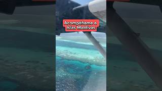 Acompáñame a las Islas Maldivas 🏝️🤙🏻 paraiso maldivas viral reels argentinos fyp reels [upl. by Kronfeld584]