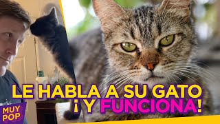 Hombre enseña cómo hablarle a tu gato para que te entienda mira sus trucos ¿Encantador de gatos [upl. by Zaneta]