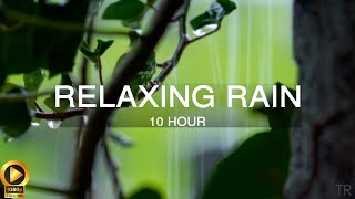 10 Hour  Rain Sounds for Sleep  Meditation  Study  Focus  Spa  Calming Background Ambience [upl. by Prisilla]