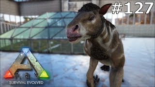 CHALIKOTERIUM I NOWA SZKLARNIA ARK Survival Evolved 127 [upl. by Uok]