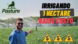 ESSE É O JEITO MAIS BARATO DE VOCÊ IRRIGAR 1 HECTARE DE PASTO [upl. by Inail]