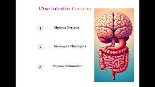 Lintestin notre deuxième cerveau [upl. by Auod]