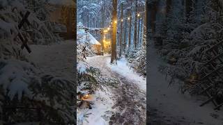 Waldweihnacht am Baumkronenweg in Kopfing in Oberösterreich weihnachten upperaustria advent [upl. by Clay]