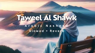 Taweel Al Shawk Nasheed  Slowed  Reverb  Soothing [upl. by Earlie]