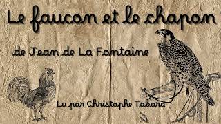 Le faucon et le chapon  AUDIO  Fable de Jean de La Fontaine [upl. by Nol]