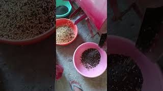 Krishi Darshan Seed Grader Machine  farming farmimplements tractor reels viralvideo vlog [upl. by Opportina]