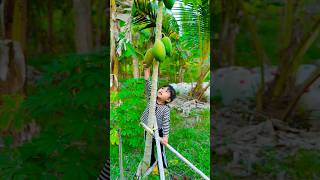 Ohh we are hungry papaya🤤👍shortvideo shorts [upl. by Grote]