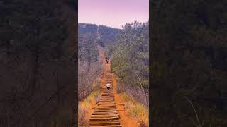 Did I survive Manitou Incline travel explore difficulthike nature hardworkout amazingviews [upl. by Nydroj]