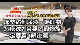 床墊沾到尿液或嘔吐物怎麼辦育嬰、養寵物必看（Part 2 解決篇）【我們是幸福床店】 [upl. by Gracie]