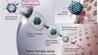 Gene therapy lecture 4  applications and future prospects [upl. by Eiramanad]