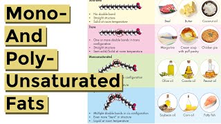 Mono and Polyunsaturated Fat Explained Made Easy to Understand [upl. by Waylon]