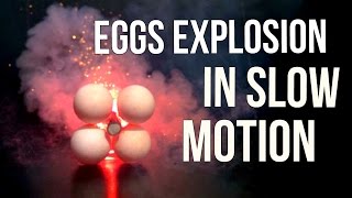 Eggs Explosion in Slow Motion  Slow Mo Lab [upl. by Ahsyas]