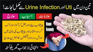 Uti Urine infection Urinary tract infection symptoms causes amp treatment in Urdu Peshab ki jalan [upl. by Ilac483]