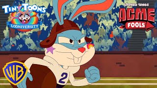 Tiny Toons Looniversity  The Big Tooney Ball Game 🏈🏟 ACMEFools  wbkids cartoonnetwork [upl. by Arait]