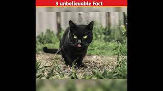 3 interesting facts  shorts [upl. by Lashonde917]