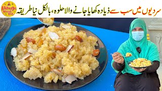 Everyones Favorite Halwa Recipe  Winter Special Halwa Recipe  Easy Recipe  Village Handi Roti [upl. by Remmus]