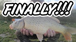 FINALLY CAUGHT AN AUTUMN CARP HSF PAULYS LAKE  CARP FISHING AUTUMN 2023 [upl. by Eblehs1]