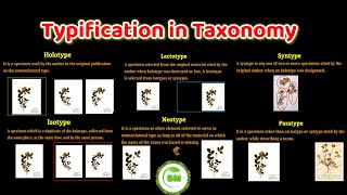 Typification in taxonomy  holotype Isotype Lectotype syntype neotype paratype  taxonomy [upl. by Pharaoh859]